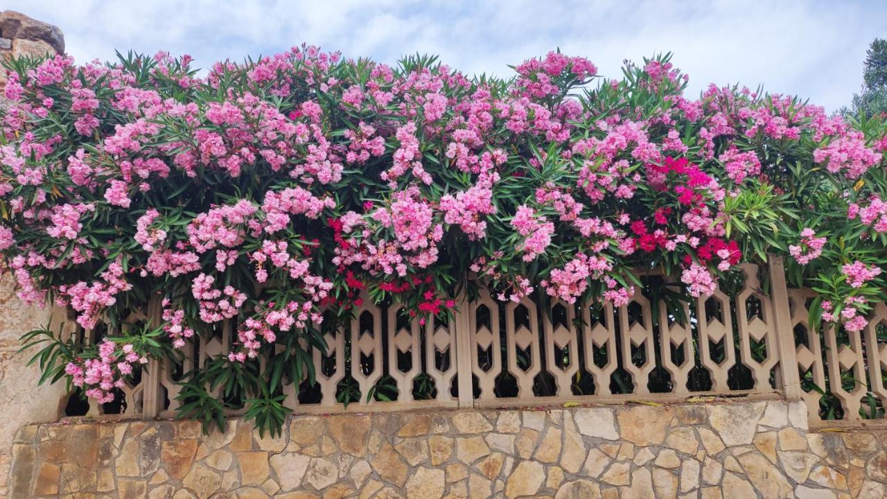 Casa Mirabilis 44 Villa ออสตูนี ภายนอก รูปภาพ